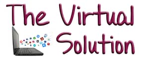 The Virtual Solution - Stabilize Your Business Systems