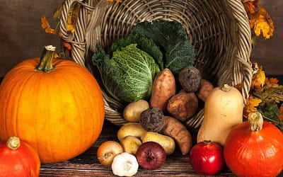 Be Thankful in Your Business to Create a Different Outcome